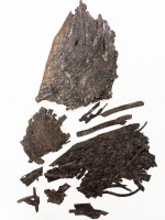 Уголь сапромиксит